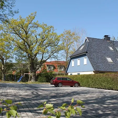 Buchentraum 14 *